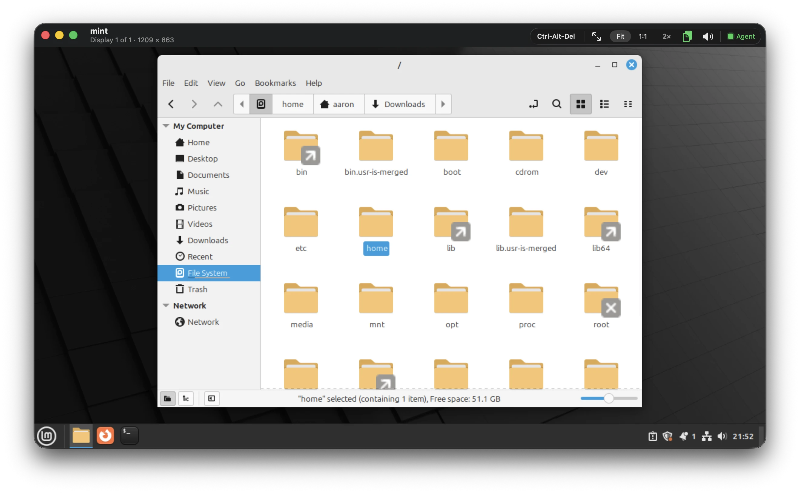 A Linux Mint guest in a SpiceSee session window