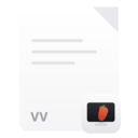 .vv file