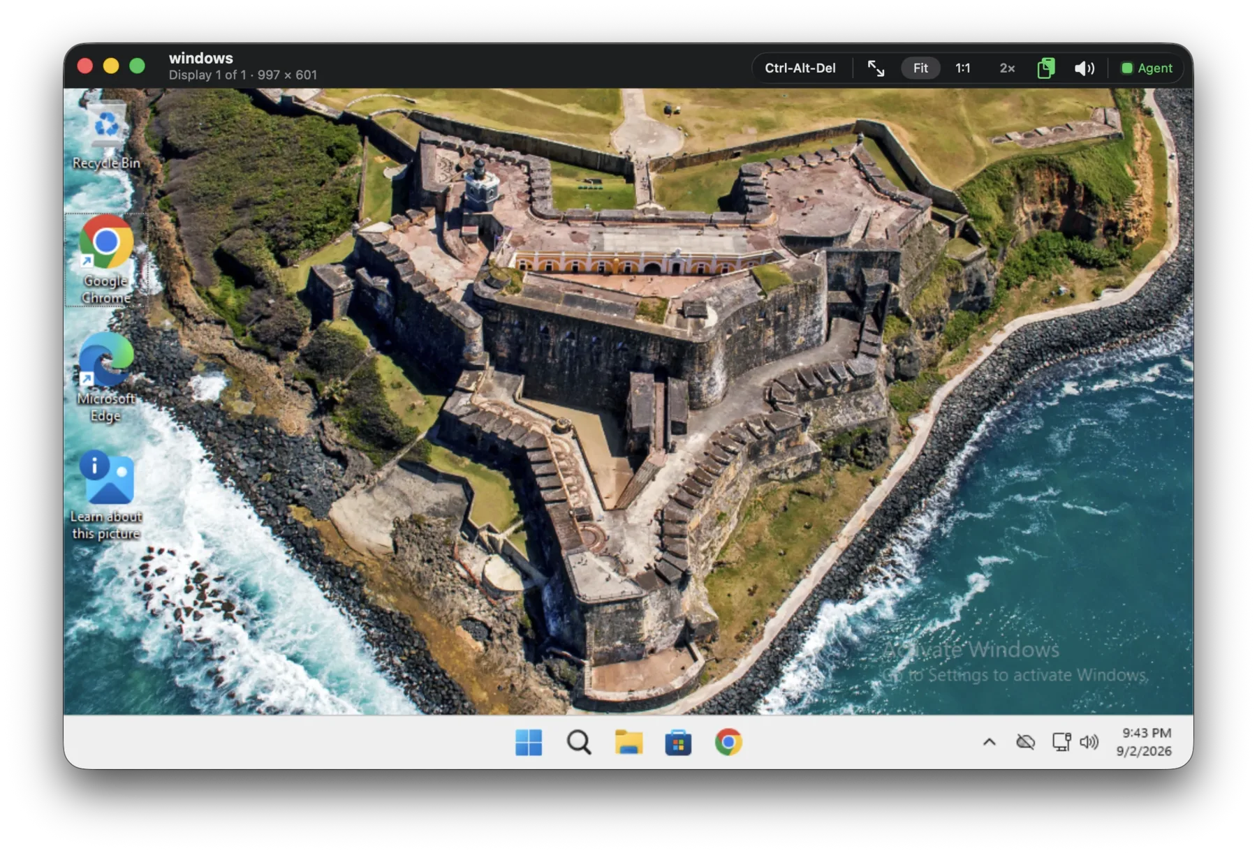 A Windows guest in a SpiceSee session window